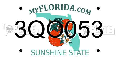 3QO053 Florida License Plate