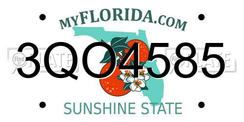 3QO4585 Florida License Plate