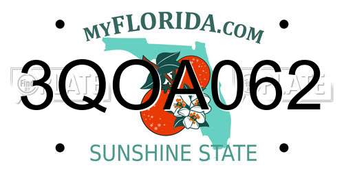 3QOA062 Florida License Plate