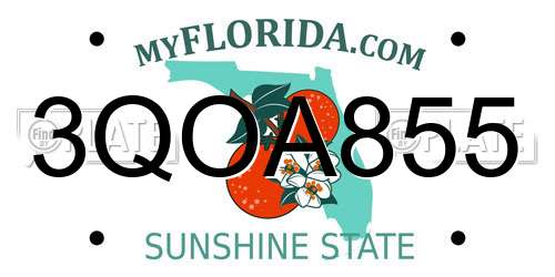 3QOA855 Florida License Plate