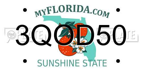 3QOD50 Florida License Plate