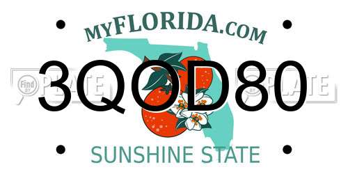 3QOD80 Florida License Plate