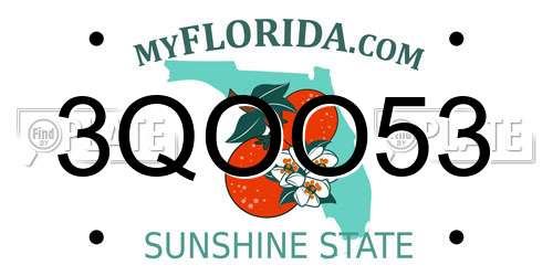 3QOO53 Florida License Plate