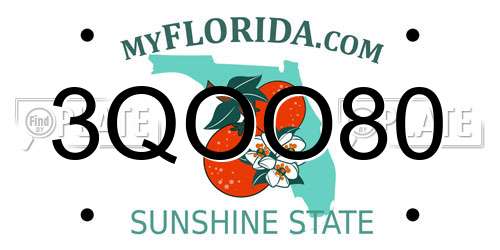 3QOO80 Florida License Plate