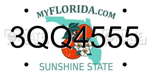 3QQ4555 Florida License Plate