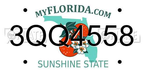 3QQ4558 Florida License Plate