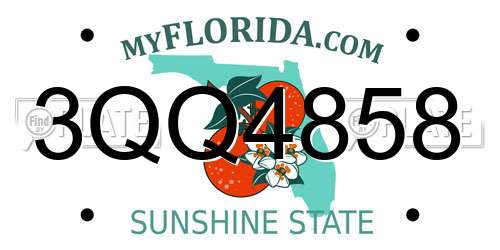 3QQ4858 Florida License Plate