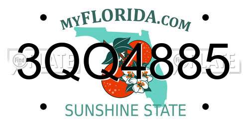 3QQ4885 Florida License Plate