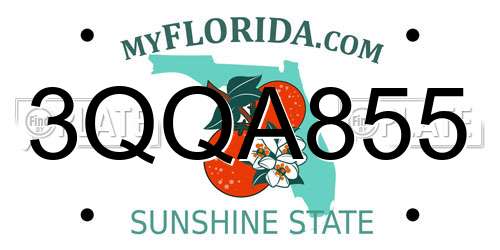 3QQA855 Florida License Plate