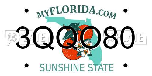 3QQO80 Florida License Plate