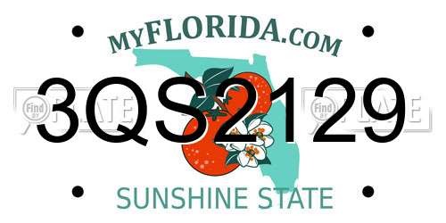 3QS2129 Florida License Plate