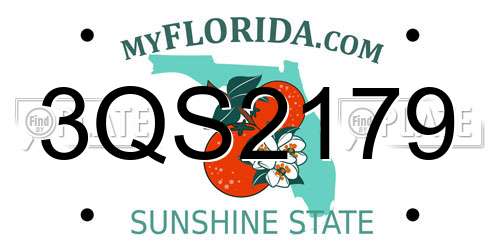 3QS2179 Florida License Plate