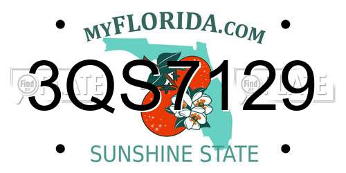 3QS7129 Florida License Plate