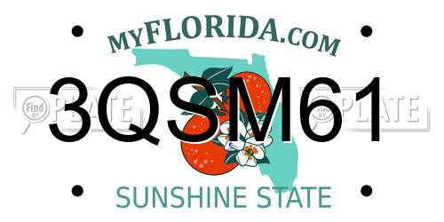 3QSM61 Florida License Plate