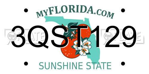 3QST129 Florida License Plate