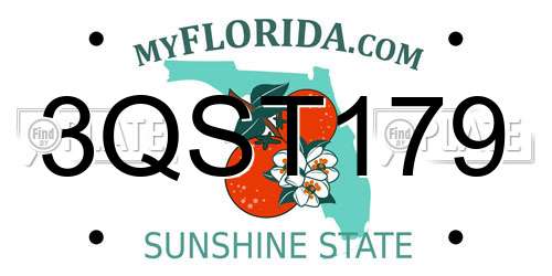 3QST179 Florida License Plate