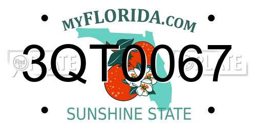 3QT0067 Florida License Plate