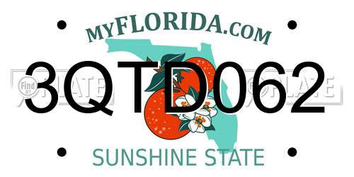 3QTD062 Florida License Plate