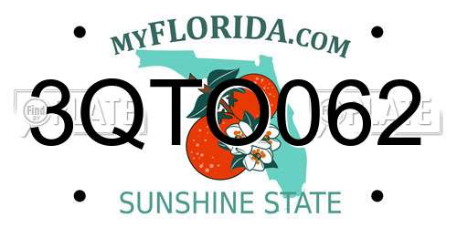 3QTO062 Florida License Plate