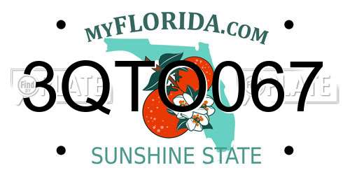 3QTO067 Florida License Plate