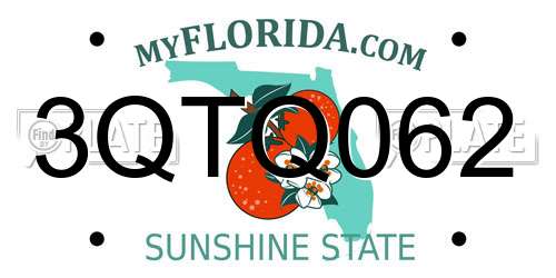 3QTQ062 Florida License Plate