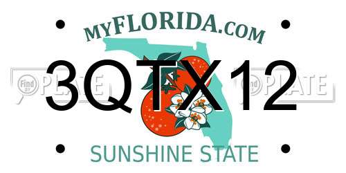 3QTX12 Florida License Plate