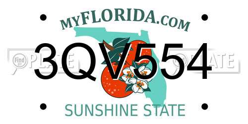 3QV554 Florida License Plate
