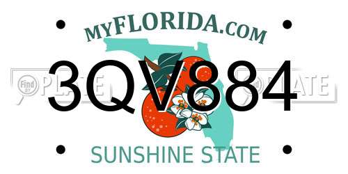 3QV884 Florida License Plate