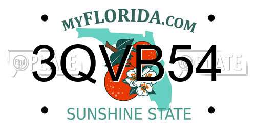 3QVB54 Florida License Plate