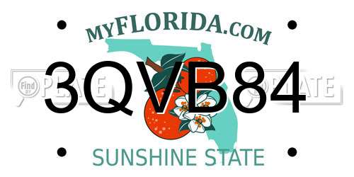 3QVB84 Florida License Plate