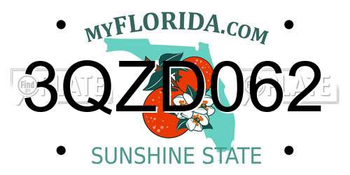 3QZD062 Florida License Plate