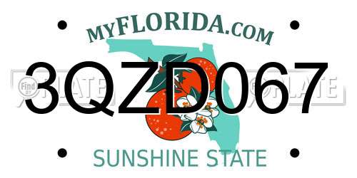 3QZD067 Florida License Plate