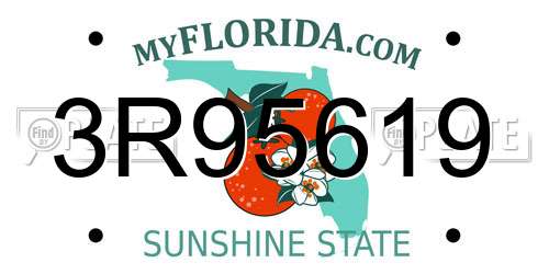 3R95619 Florida License Plate