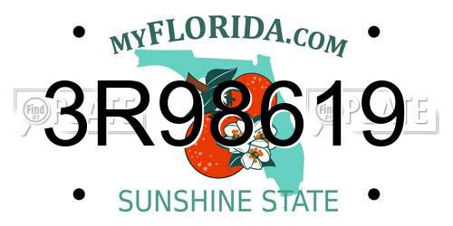 3R98619 Florida License Plate