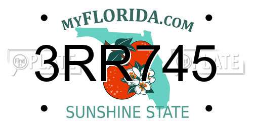 3RR745 Florida License Plate