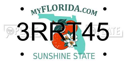 3RRT45 Florida License Plate