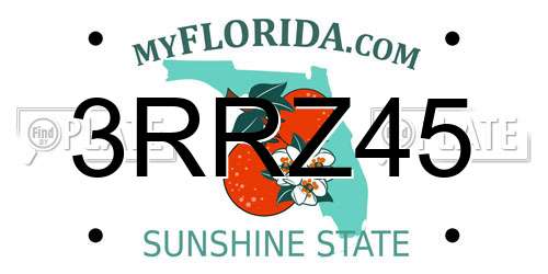3RRZ45 Florida License Plate