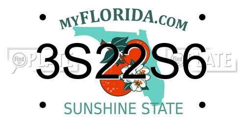 3S22S6 Florida License Plate