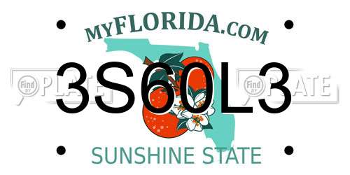 3S60L3 Florida License Plate