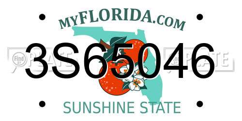 3S65046 Florida License Plate