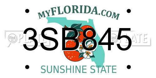 3SB845 Florida License Plate
