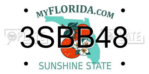 3SBB48 Florida License Plate