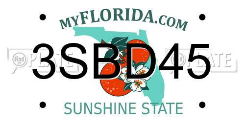 3SBD45 Florida License Plate