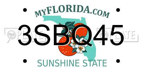 3SBQ45 Florida License Plate