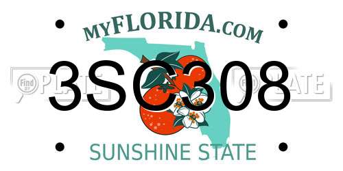 3SC308 Florida License Plate