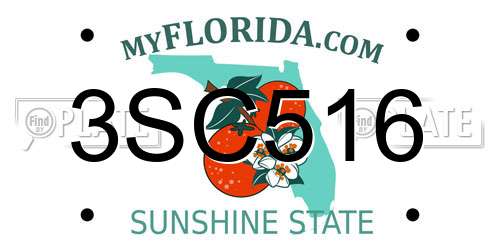 3SC516 Florida License Plate