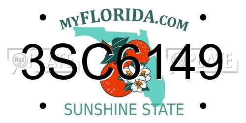 3SC6149 Florida License Plate