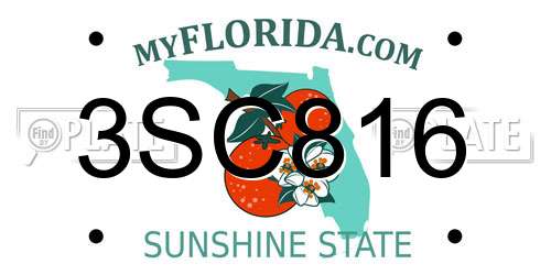 3SC816 Florida License Plate