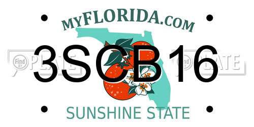 3SCB16 Florida License Plate