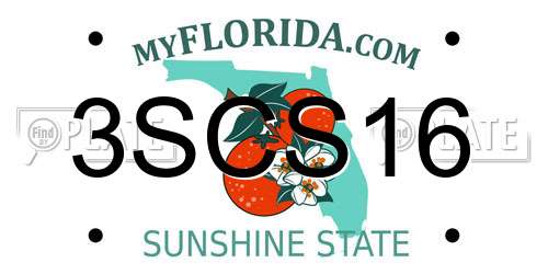 3SCS16 Florida License Plate